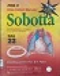 Atlas Anatomi tubuh Manusia: Sobotta (Batang Badan,Panggul,Ekstremitas Bawah)